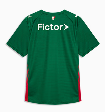 Camisa Palmeiras 26/27 Home Team Verde Masculina