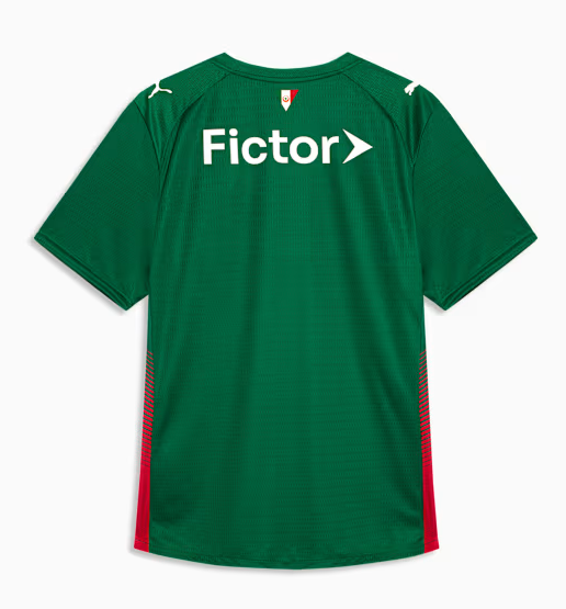 Camisa Palmeiras 26/27 Home Team Verde Masculina