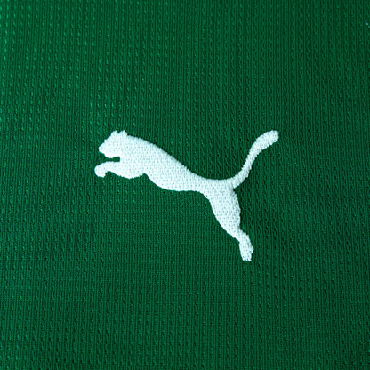 Camisas Palmeiras 2026/27 Puma - Titular